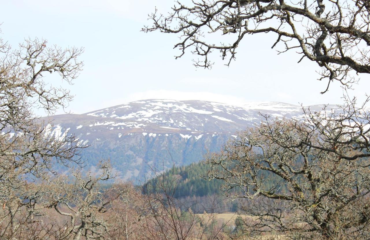 Skye Cottage, Meadowside House, Near Kingussie Buitenkant foto